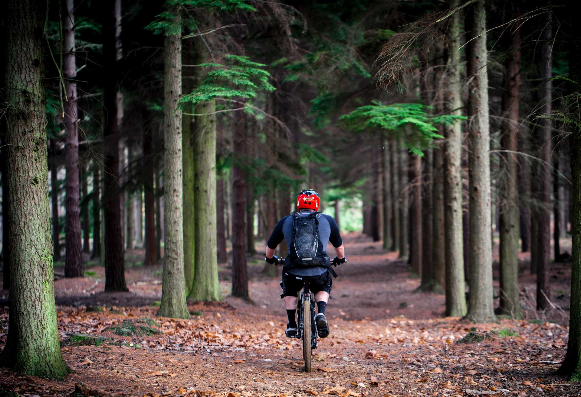 Outdoor cycle