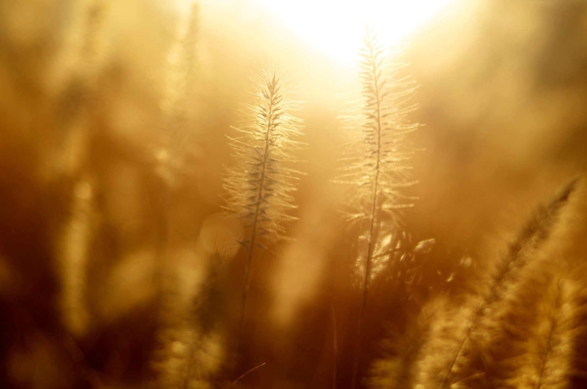 Light 2