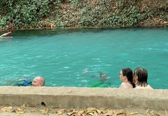 Picture3