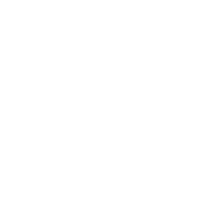 mic