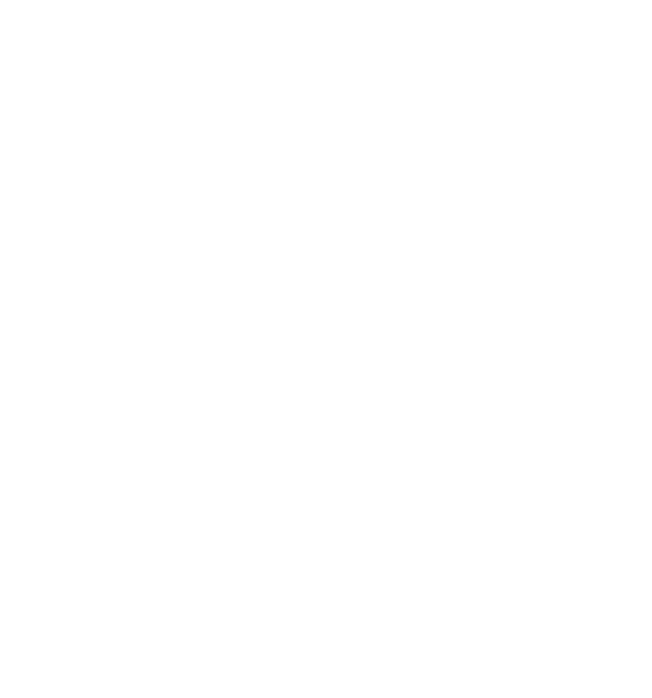 rook