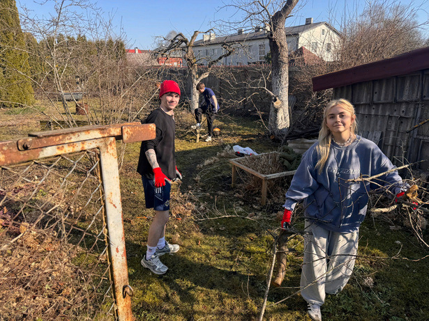 gardenclearing
