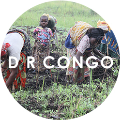 D-R-Congo