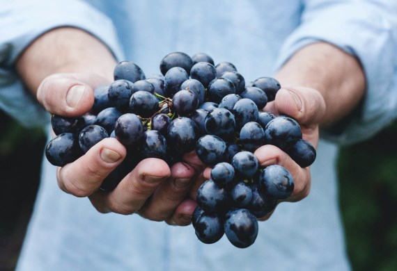 Be fruitful and multiply