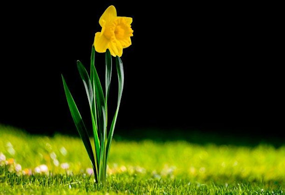 The Signs of fresh hope