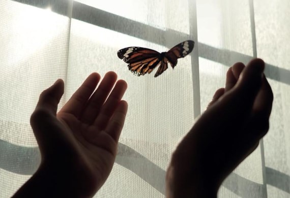 Chaplain spreading his wings after book’s success!