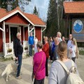 Brotherstons Estonia Update June 2025